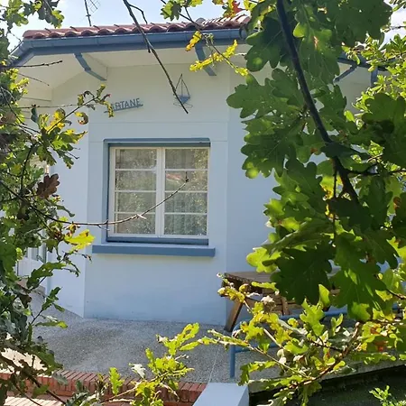 Maison Avec Jardin Clos *